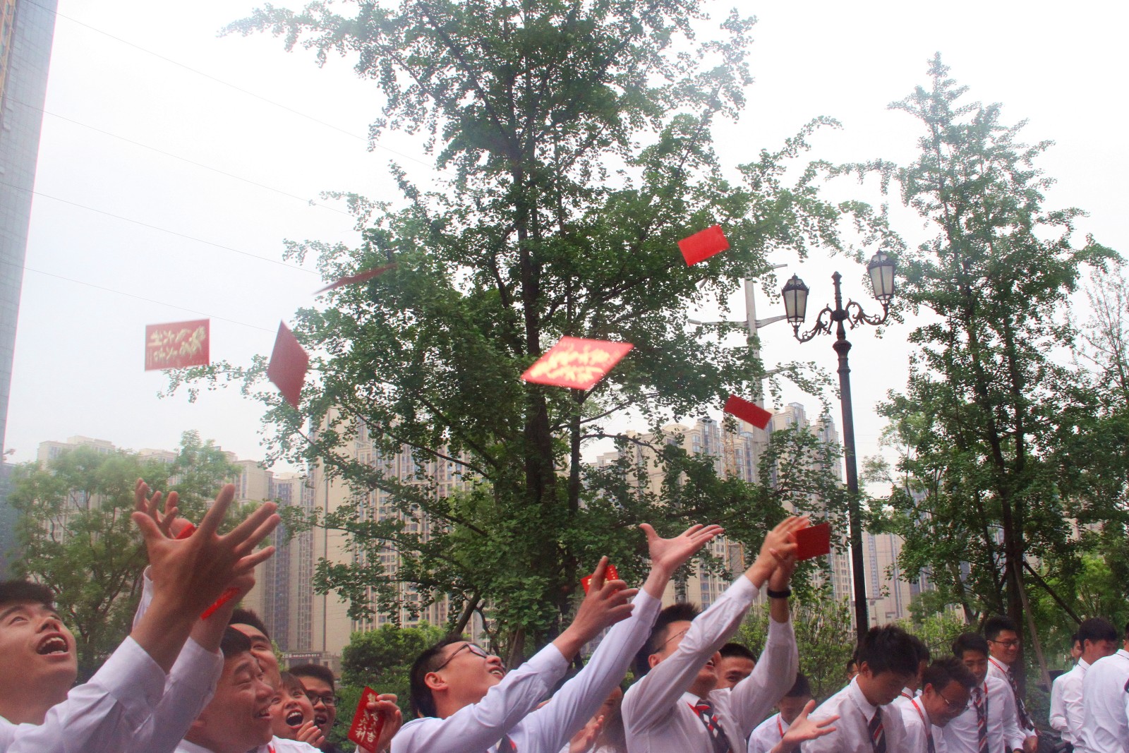 1561445740118328.jpg IMG_6340.JPG